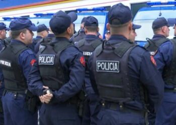 forcat policore