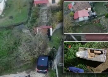 “Nuk porositëm kokainë por pleh”, Gjkko lë në burg 10 të arrestuarit. Në kërkim kimisti