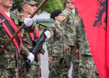 NATO urim dhe postim në Twitter për 110 vjetorin e Pavarsisë së Shqipërisë