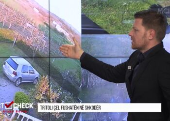 Tritoli ndaj Kreut të Rithemelimit në Vaun e Dejes, Koka në FactCheck: U vu për ta eleminuar, ngjarja politike