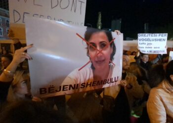 Dhunoi fëmijën në kopshtin “Stinët” arrestohet edukatorja. Drejt prangave edhe policët!