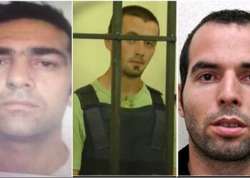 Ekskluzive/ Përplasje me armë në Burgun e Vipave Peqin, një i vdekur. Reagon Ministria: Ska gardian të vrarë, Pamjet, Pistoleta hyri me Dron?