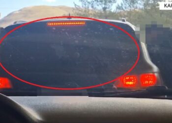 Gjithë kohës nën vëzhgim dhe të filmuar, si u arrestuan në Kapshticë trafikantët e kanabisit (Video)