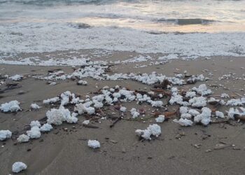 Ndotja e Bregdetit: Alarmi i Polisterolit dhe Zhvillimi i Pakontrolluar