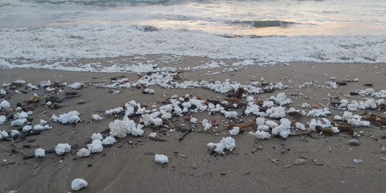 Ndotja e Bregdetit: Alarmi i Polisterolit dhe Zhvillimi i Pakontrolluar