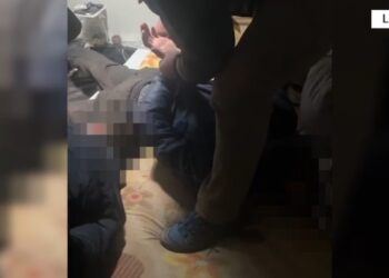 Policia ndalon vëllain e deputetit të PS pas zbulimit të serave me kanabis në Lezhë (Video)