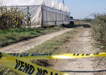 Kush është “Rushi” i kanabisit të Beratit? Zbulohet identiteti