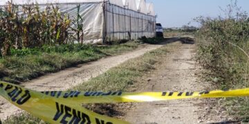 Kush është “Rushi” i kanabisit të Beratit? Zbulohet identiteti