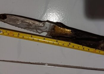 26-vjecari plagos me thikë babë e bir në Shkodër