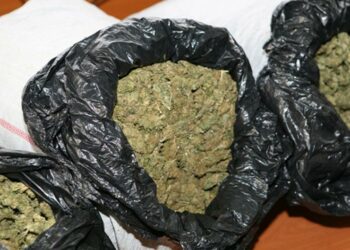 Me hashash në makinë, 3 të arrestuar në Kapshticë. Do ta trafikonin jashtë vendit