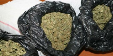 Me hashash në makinë, 3 të arrestuar në Kapshticë. Do ta trafikonin jashtë vendit