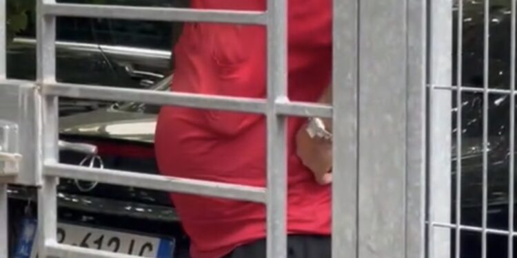 Dëshpërimi i Palit dhe Media