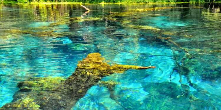 Syri i Kaltër s’e humb magjinë as këtë vit, turistët vlerësim pozitiv, por ankesa për “varfërinë” e ofertës së aktiviteteve