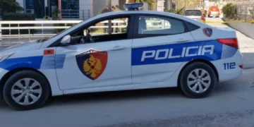 E shpëtoi nga maniaku seksual, dëshmia e gruas që largoi të miturën nga duart e 71-vjeçarit në Maliq