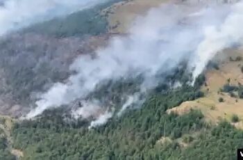 Ekspertët në Shqipëri: Rritet rreziku i përmbytjeve nga zjarret masive të këtij viti