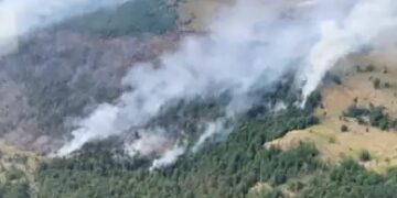 Ekspertët në Shqipëri: Rritet rreziku i përmbytjeve nga zjarret masive të këtij viti