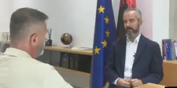Vota e emigrantëve, Celibashi tregon organizimin dhe sfidat e procesit