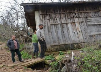 Eurostat: Veriu i Shqipërisë dhe Vani i Turqisë, rajonet më të varfra të Europës