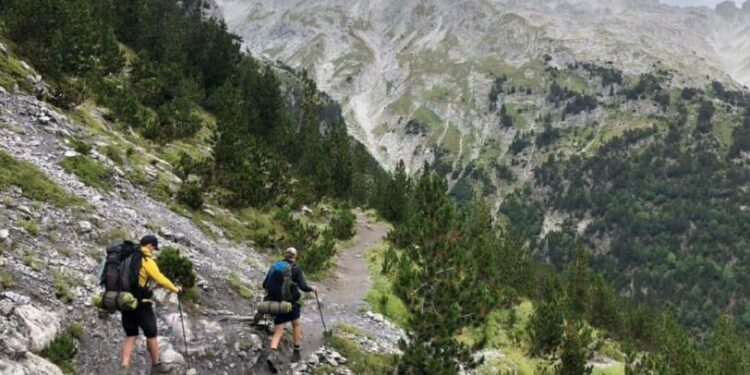 Pasi “shiti” bregdetin, qeveria kalon tek malet, ja si do jepet me 1 euro toka