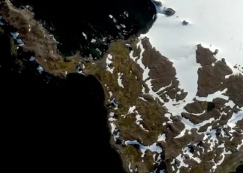 Nga një kontinent i bardhë, Antarktida po kthehet në të gjelbërt/ Ekspertët ngrenë alarmin