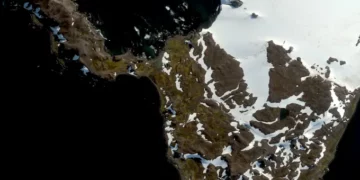 Nga një kontinent i bardhë, Antarktida po kthehet në të gjelbërt/ Ekspertët ngrenë alarmin