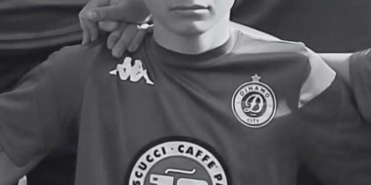 “Baby Gang” nuk ka vrarë vetëm Martin Canin / Nëna me të Zeza dhe Nëna që lotojnë për Liri