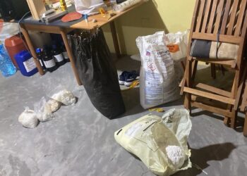 Ekskluzive / Laboratori i Kokainës me Lëkura Kafshësh në punë prej 3 vitesh! Kompania në 2021, shtoi…,Dokumenti