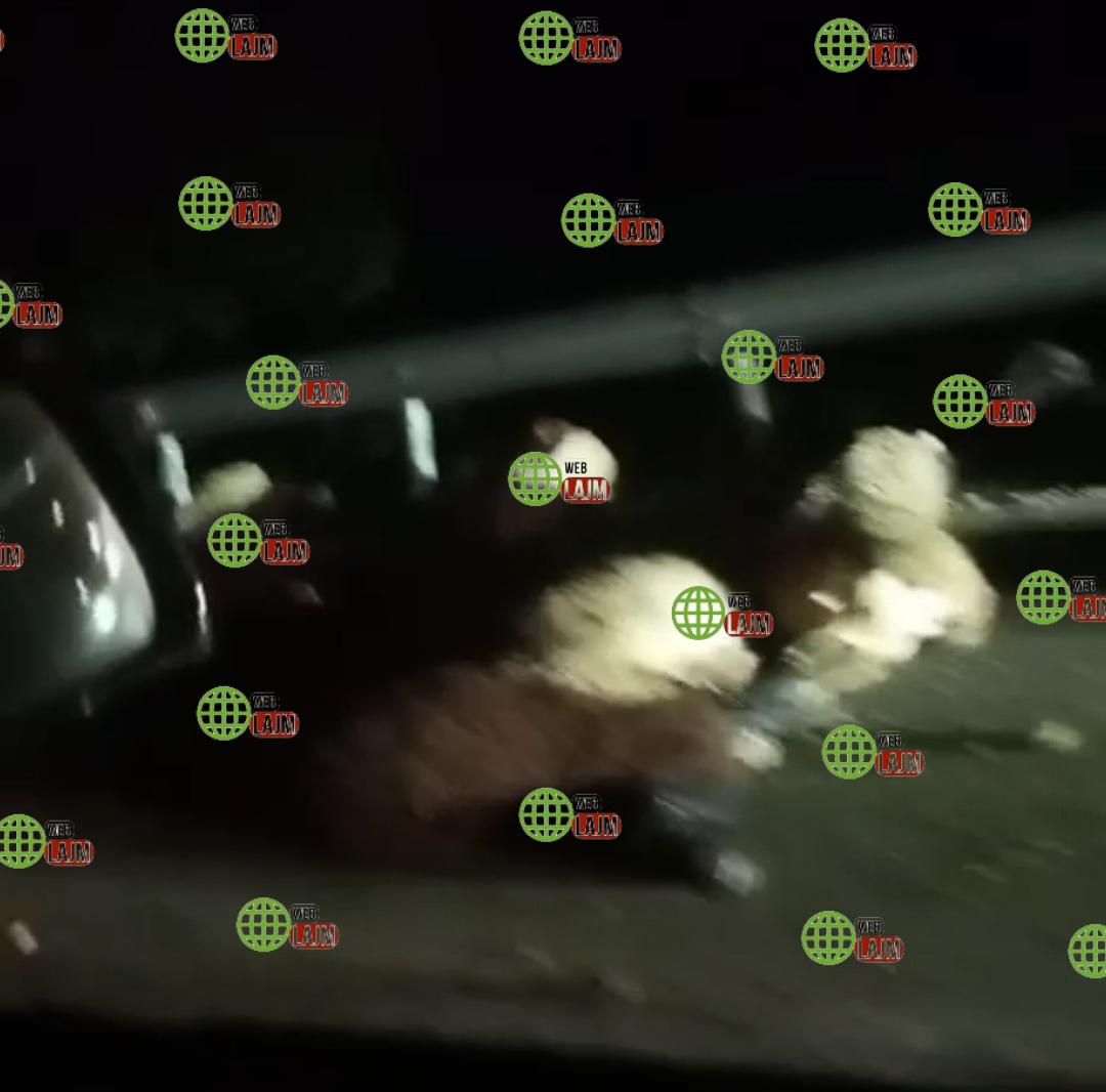 Pamje të Rënda / Benzi merr para kopenë e Deleve në Borizanë