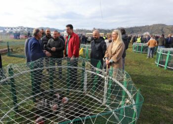 Gjeli i Fetsave në Baldushk, Veliaj: Blijeni në fshatin tonë
