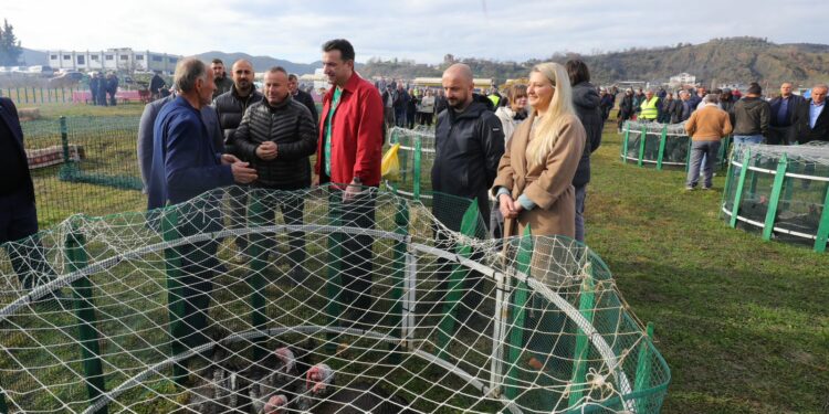Gjeli i Fetsave në Baldushk, Veliaj: Blijeni në fshatin tonë