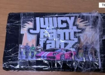 Djali “Ad Sybardhit” dhe shoku i tij kapen me Kokainë / Pamjet