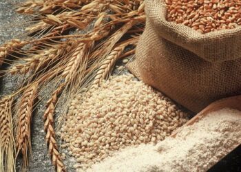 Ku e merr “bukën” Shqipëria? Rreth 60% e peshës mbështetet vetëm në dy vende