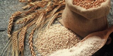 Ku e merr “bukën” Shqipëria? Rreth 60% e peshës mbështetet vetëm në dy vende