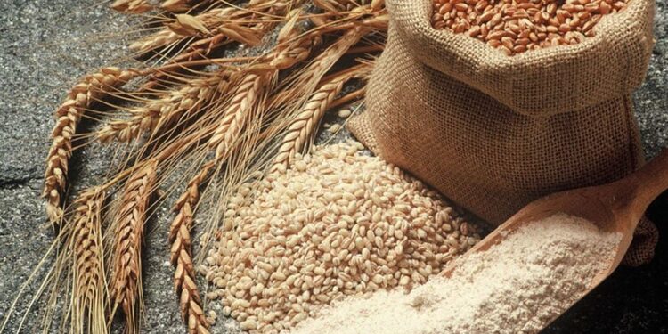 Ku e merr “bukën” Shqipëria? Rreth 60% e peshës mbështetet vetëm në dy vende