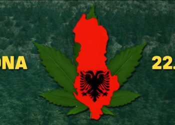 10 zonat ku do të mbillet hashash, “FactCheck” zbulon hartën/ hiqet Lazarati dhe Lumi i Vlorës