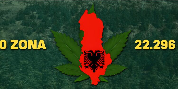 10 zonat ku do të mbillet hashash, “FactCheck” zbulon hartën/ hiqet Lazarati dhe Lumi i Vlorës