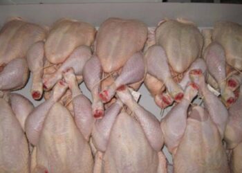 Salmonela braziliane dhe pasaporta europiane