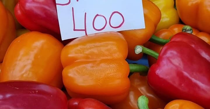 Kroacia bllokon Tonelata me Speca të Kontaminura / Ku shkuan? Asnjë foto- video nga azgjesimi❗️