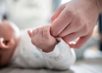 Parashikimi alarmues i OKB: Lindjet në Shqipëri do të përgjysmohen deri në 2054