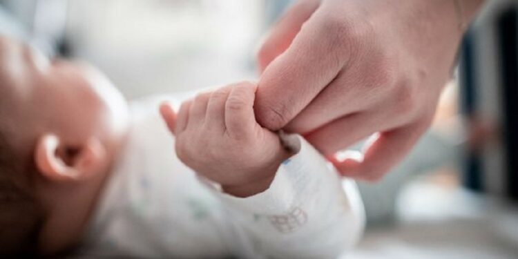 Parashikimi alarmues i OKB: Lindjet në Shqipëri do të përgjysmohen deri në 2054