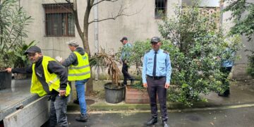 Trotuare dhe Parkime të ZAPTUARA / Policia Bashkiake aksion masiv