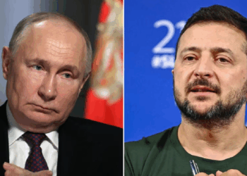 putin zelenski