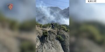 U arrestua për Canabis, 19 vjeçari djeg Ullinjtë e fshatit Barkanesh në Krujë / Pamjet