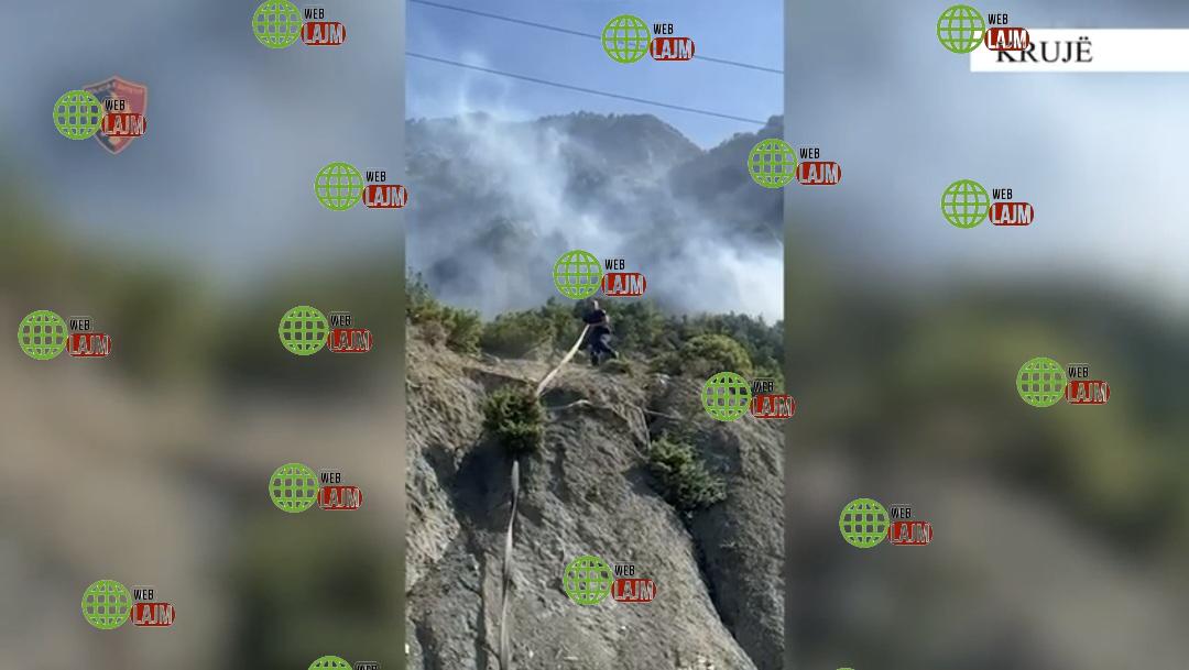 U arrestua për Canabis, 19 vjeçari djeg Ullinjtë e fshatit Barkanesh në Krujë / Pamjet