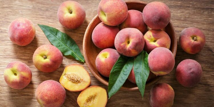 Kroacia zbulon skandalin, pjeshkët shqiptare të kontaminuara me metale (nikeli) – Dokumenti