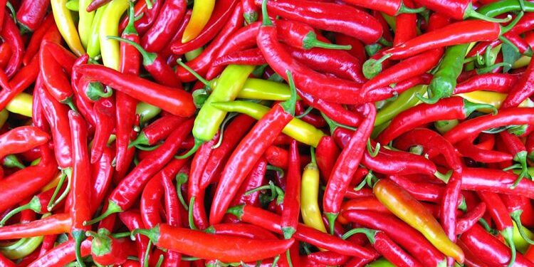 Pas pjeshkëve / Kroacia bllokon tonelata Speca djegs nga shqipëria. Janë me pesticide të rrezikshme / dokumenti