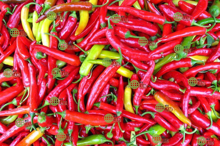 Pas pjeshkëve / Kroacia bllokon tonelata Speca djegs nga shqipëria. Janë me pesticide të rrezikshme / dokumenti