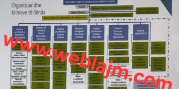 Ekskluzive / Struktura e Re e Policisë.Departament Kundër Krimit me akses Kombëtar