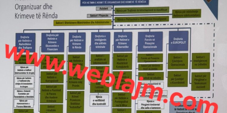 Ekskluzive / Struktura e Re e Policisë. Departament Kundër Krimit me akses Kombëtar