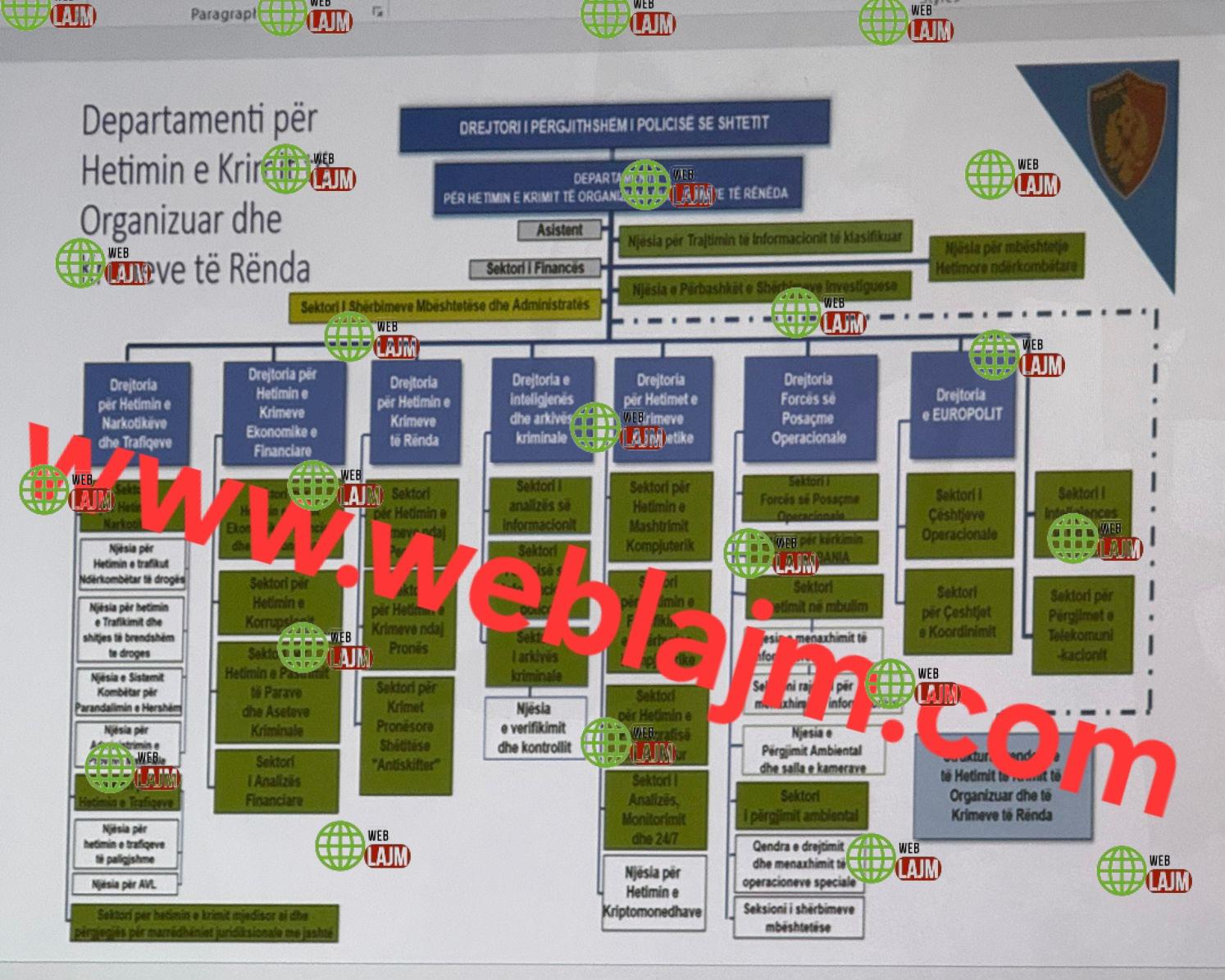 Ekskluzive / Struktura e Re e Policisë.Departament Kundër Krimit me akses Kombëtar